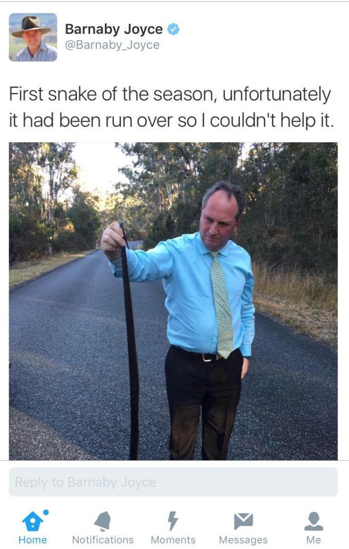 13396764_10154914712043574_12289384_o