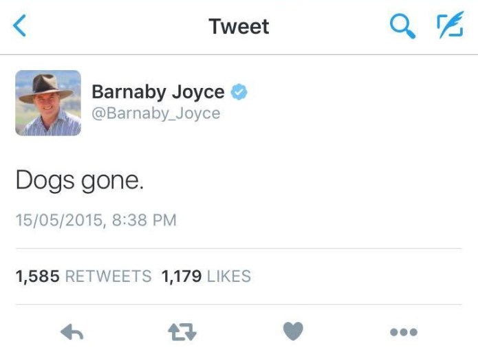 13410811_10154914712058574_1232936409_o